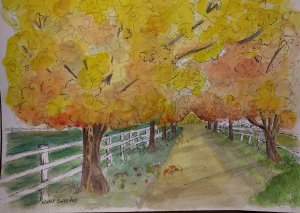 2014 12 10 Blakeslee Lane